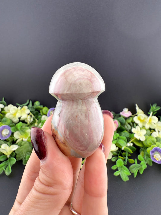 Polychrome Jasper Mushroom