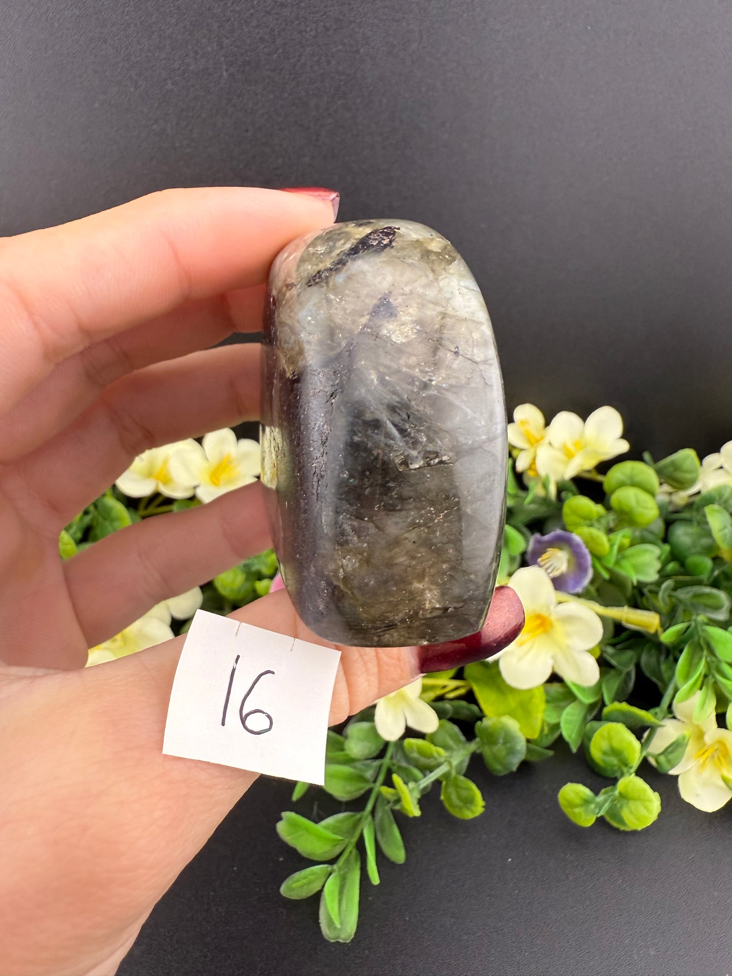 Small Labradorite Freeforms
