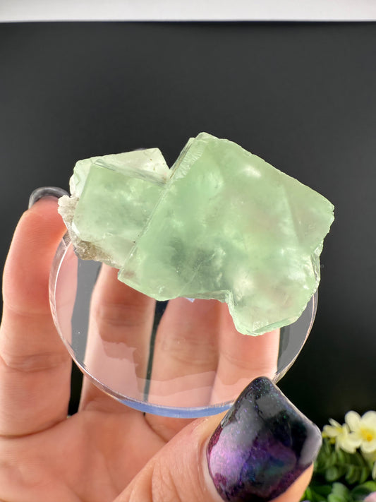 XHL Green Cubic Fluorite