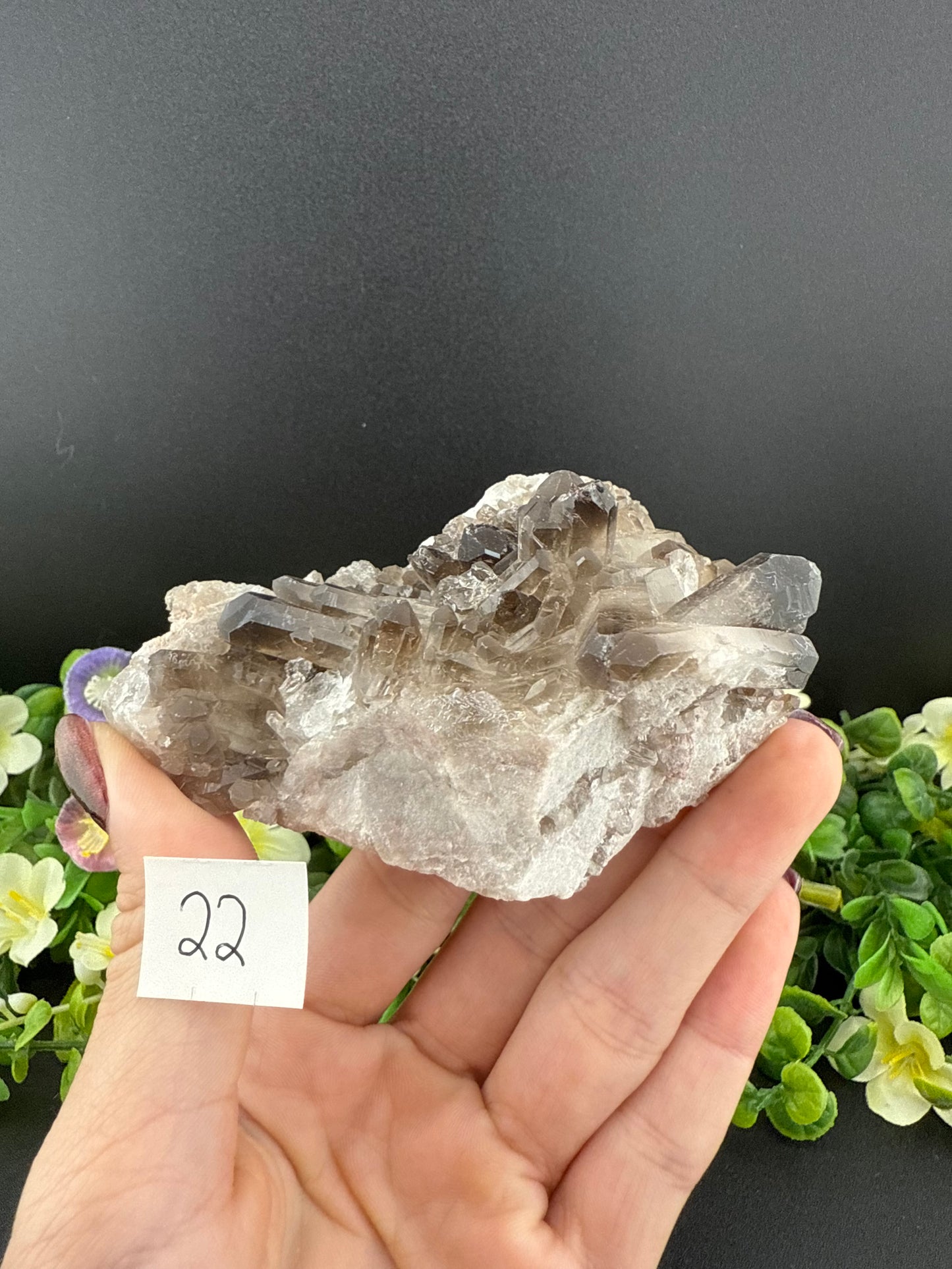 Smoky Quartz Clusters