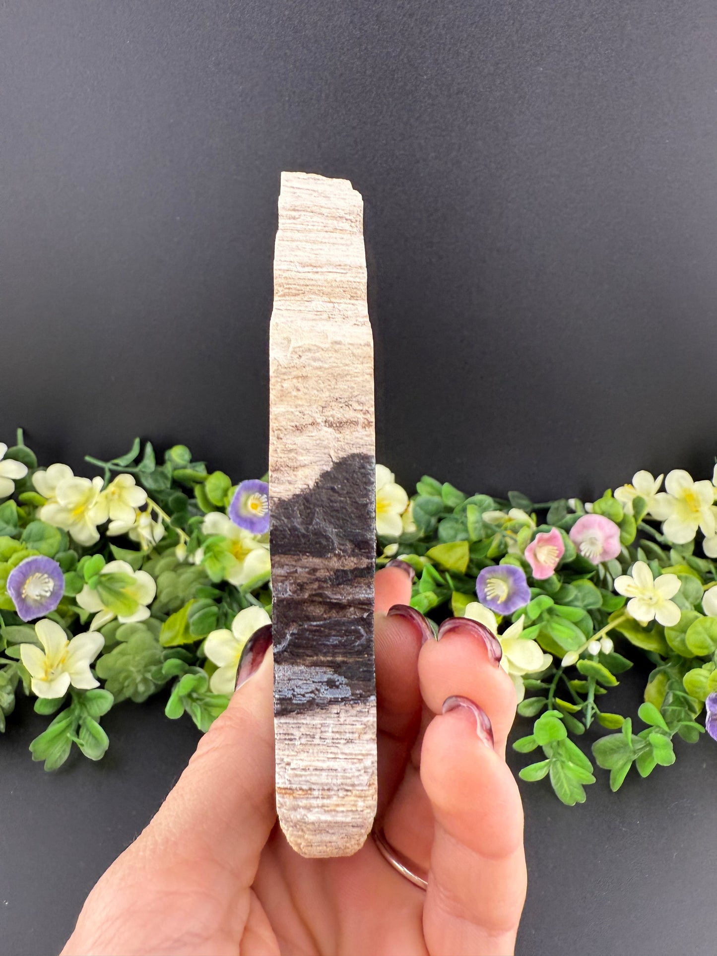 Petrified Wood Slab