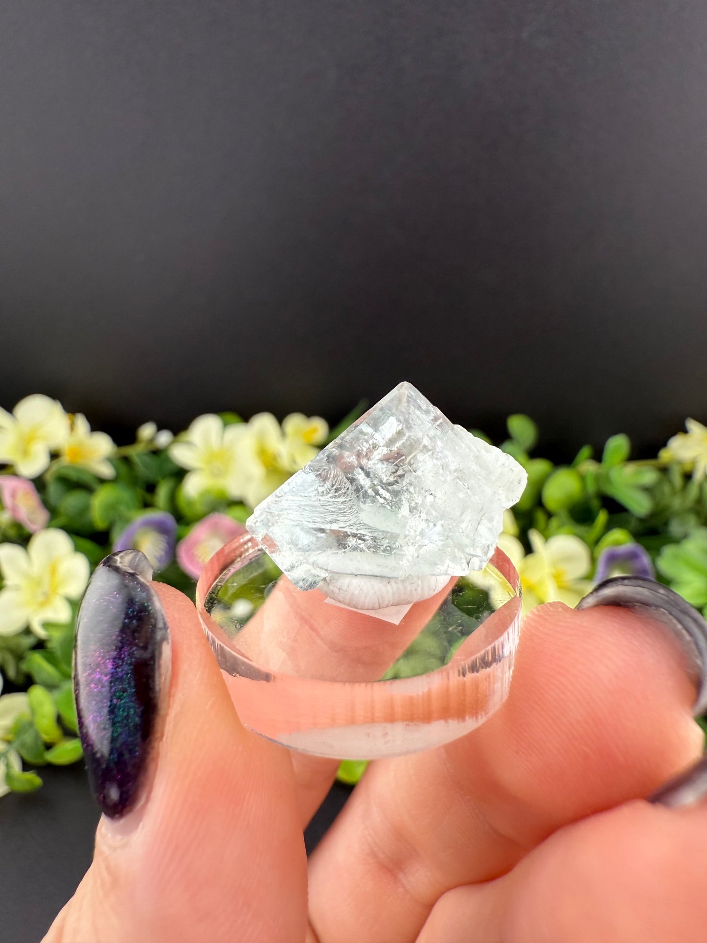 Clear Cubic Fluorite