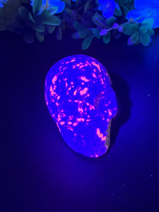 Yooperlite Skull