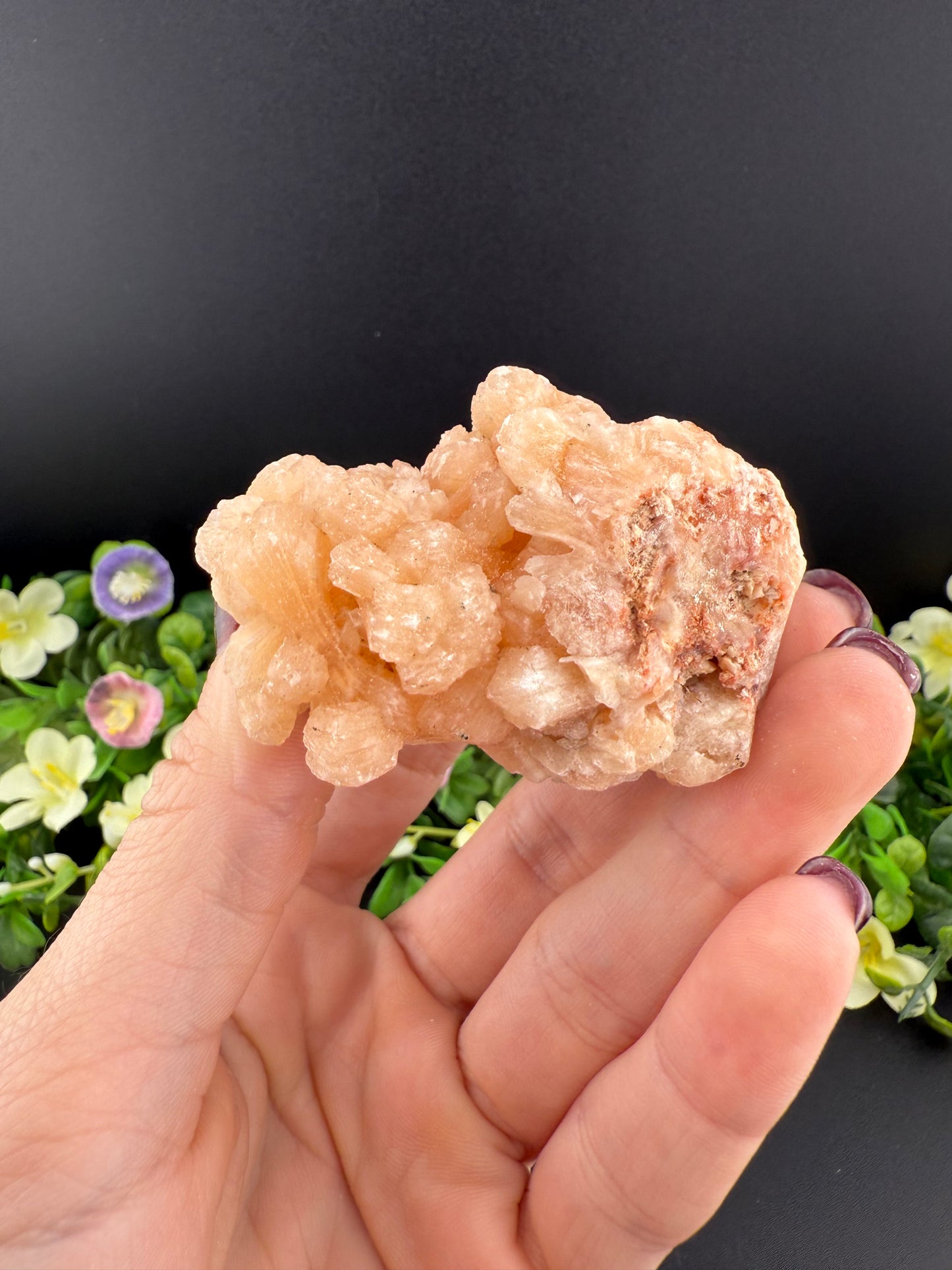 Peach Stillbite Cluster