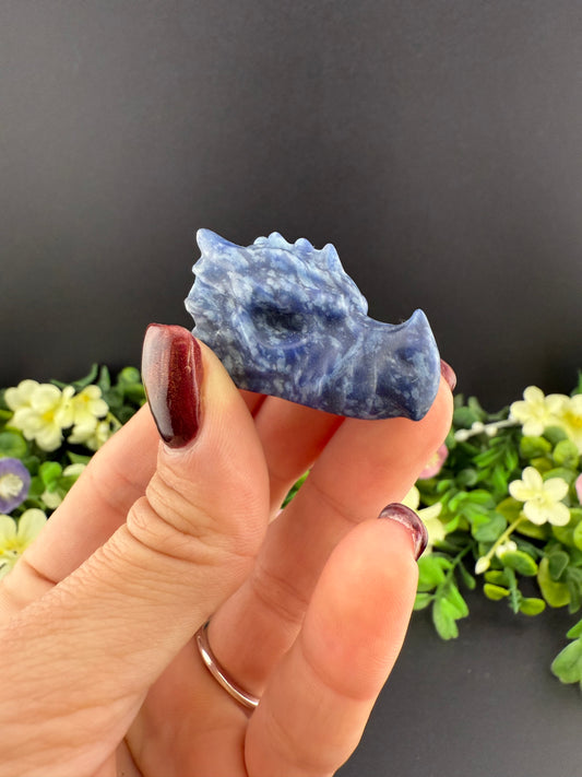 Mini Dragon Heads