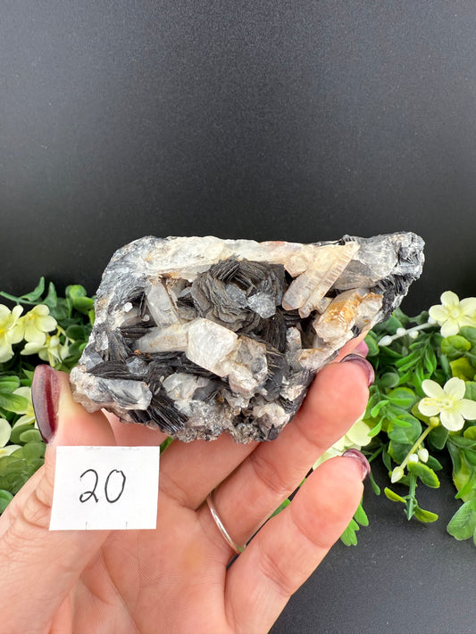 Specularite Rose Specimens