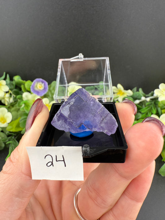 Blue Fluorite