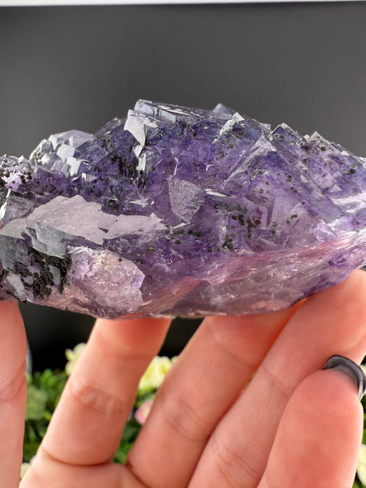 YGX Fluorite