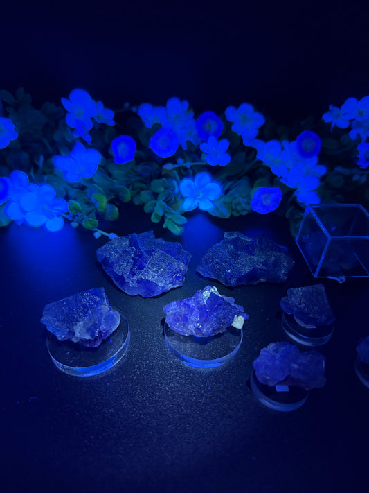 Blue Petroleum Fluorites