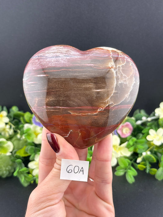 Big Petrified Wood Hearts