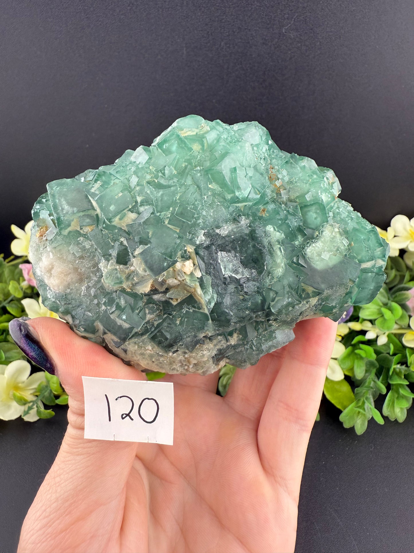 Daylight Fluorite Clusters