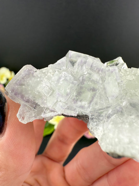 XHL Fluorite with Purple Phantoms
