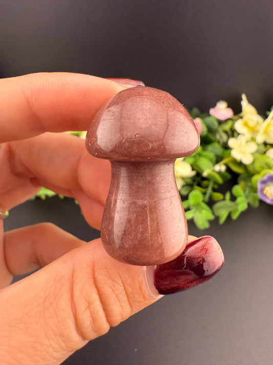 Small Mushrooms