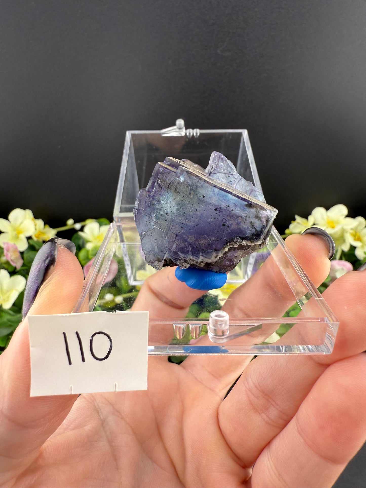 YGX Fluorites (Lot 1)