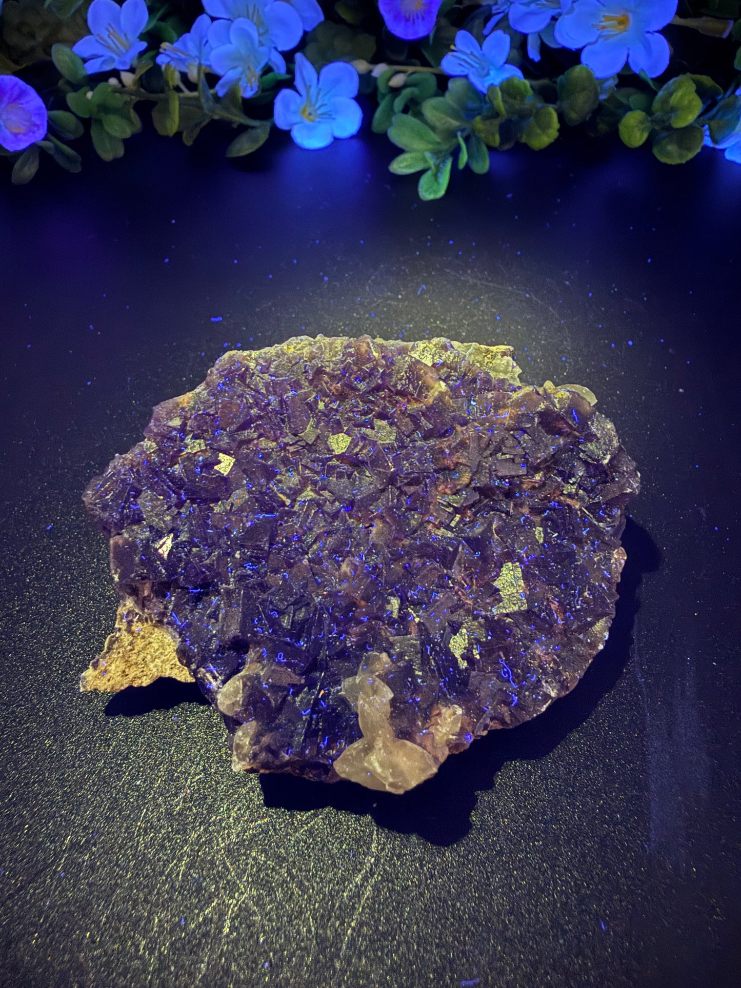 Black Rose Fluorite