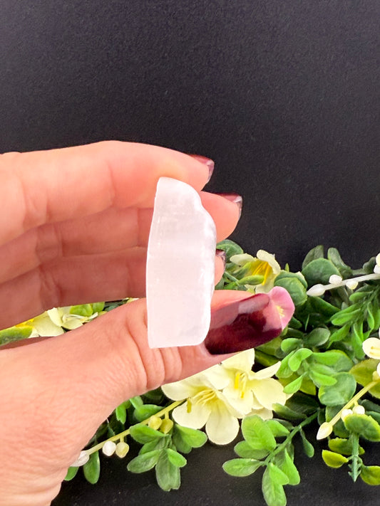 Selenite Dolphin Carving
