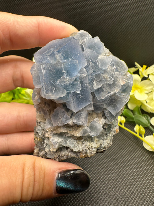 Blue Fluorite Specimen F