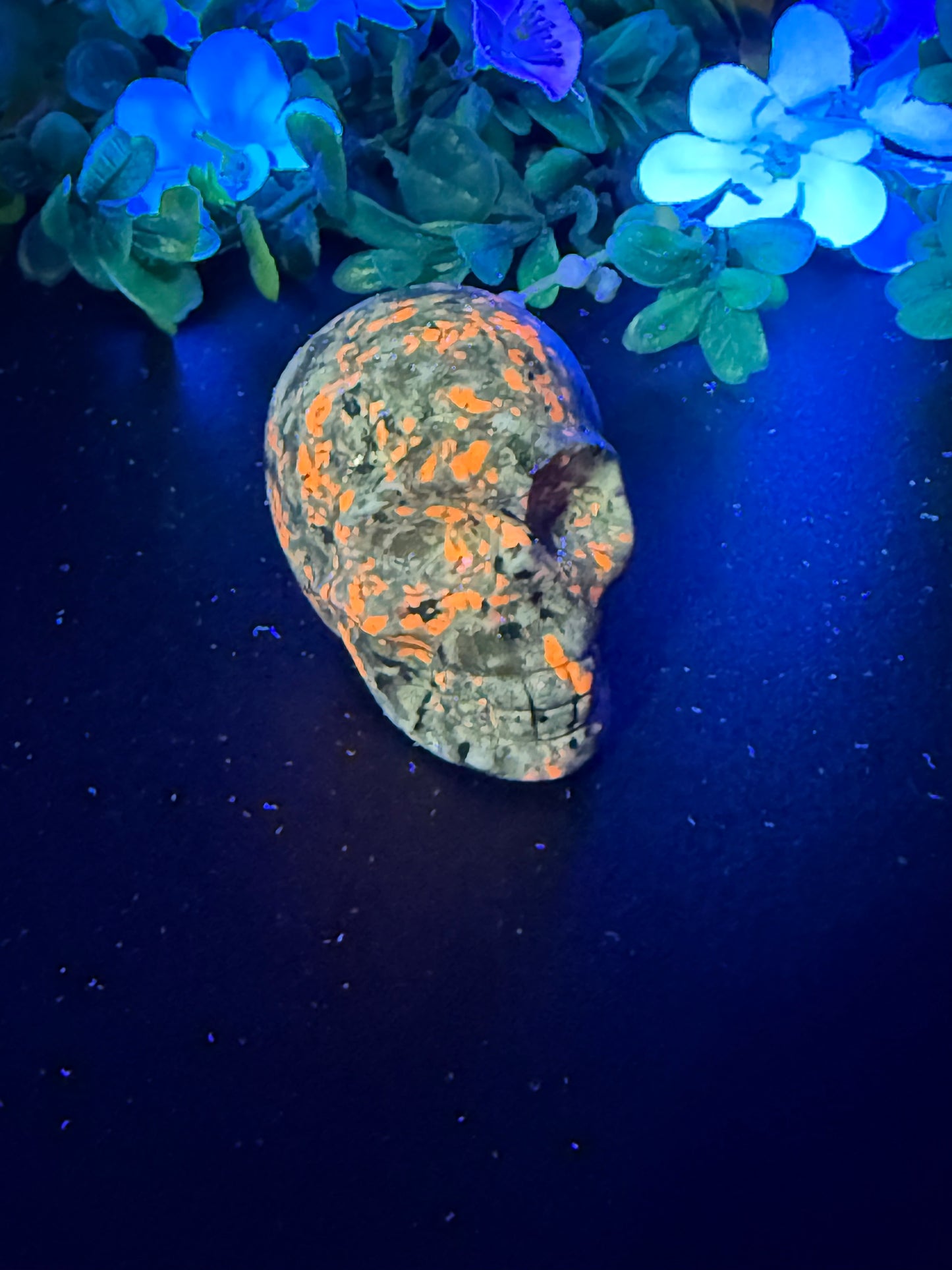 Yooperlite Skull