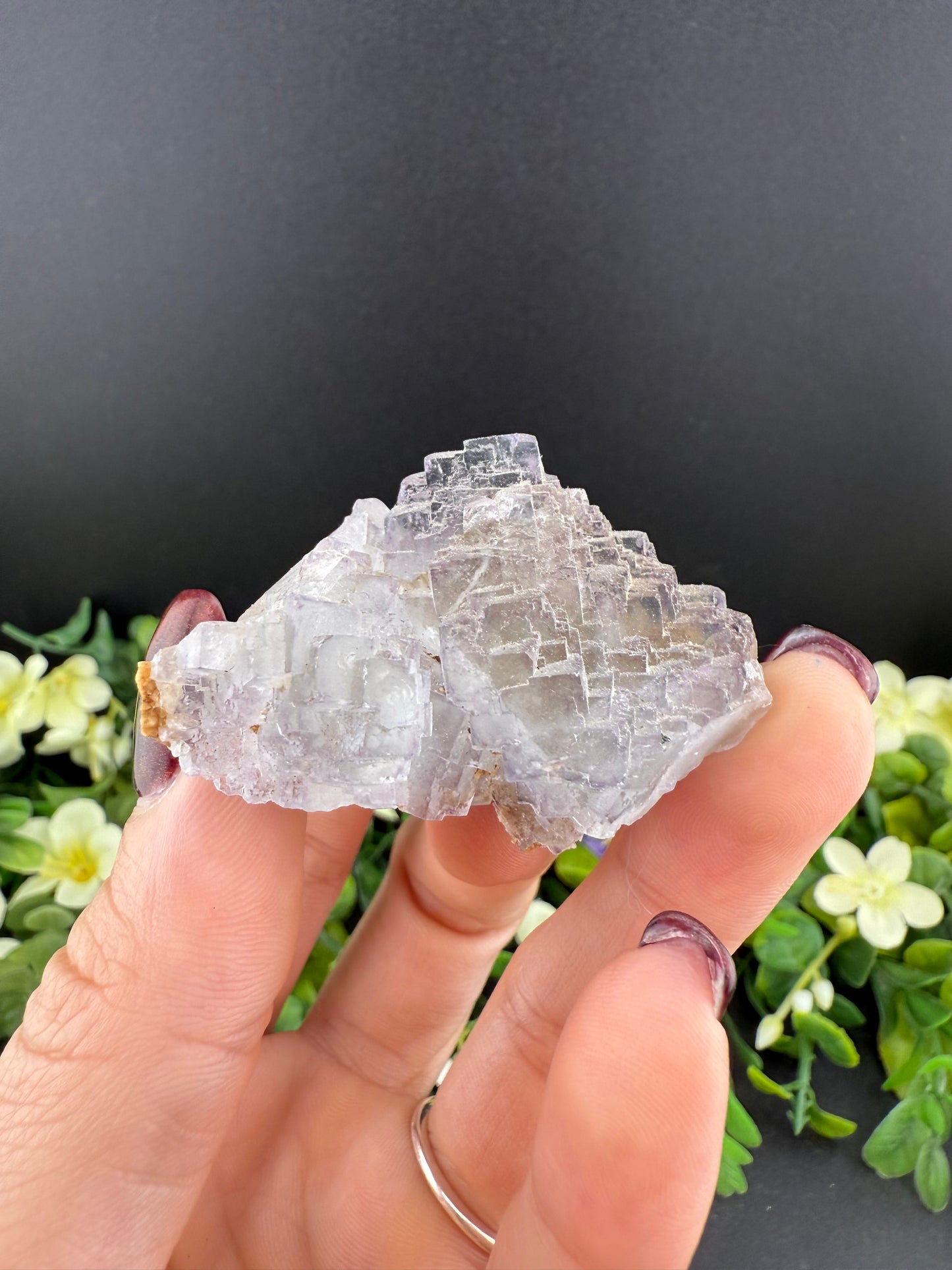 Stepped Fluorite