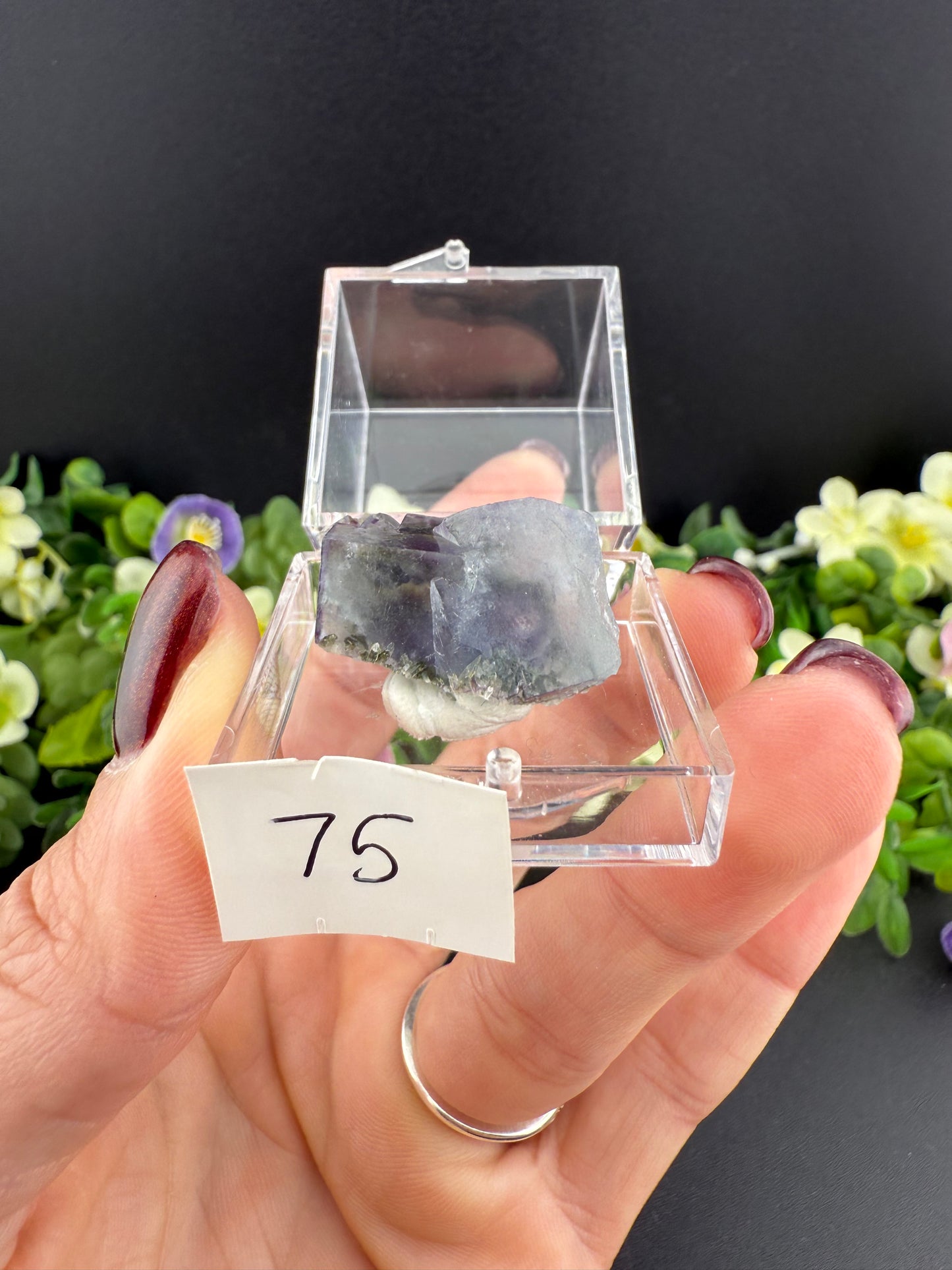 YGX Fluorites with Green Chlorite Inclusions