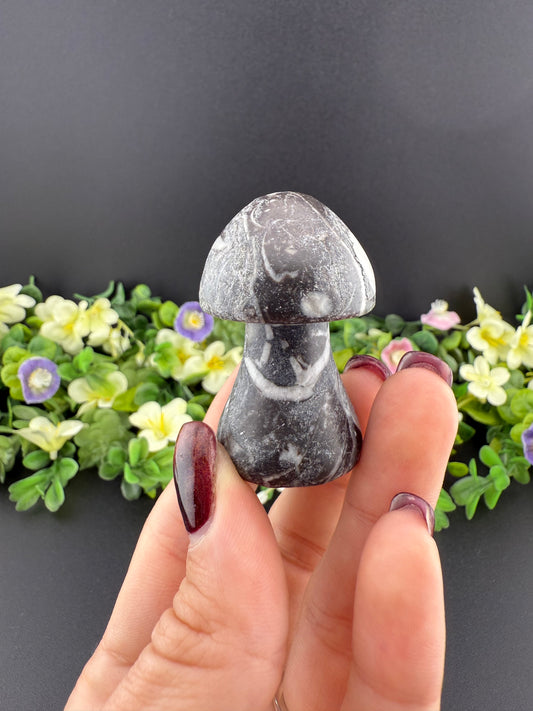 Zebra Jasper Mushroom