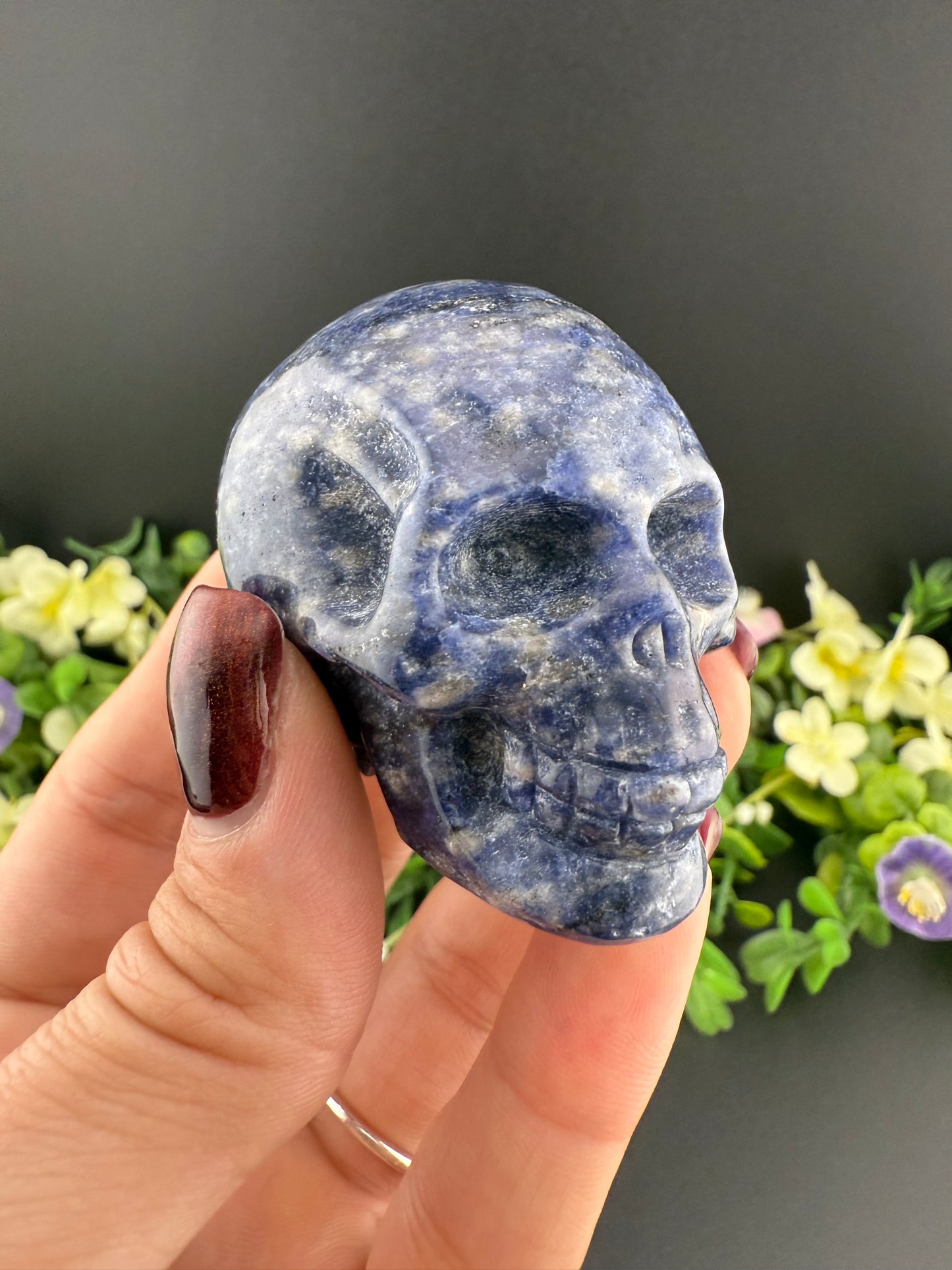 Sodalite Skull Carving