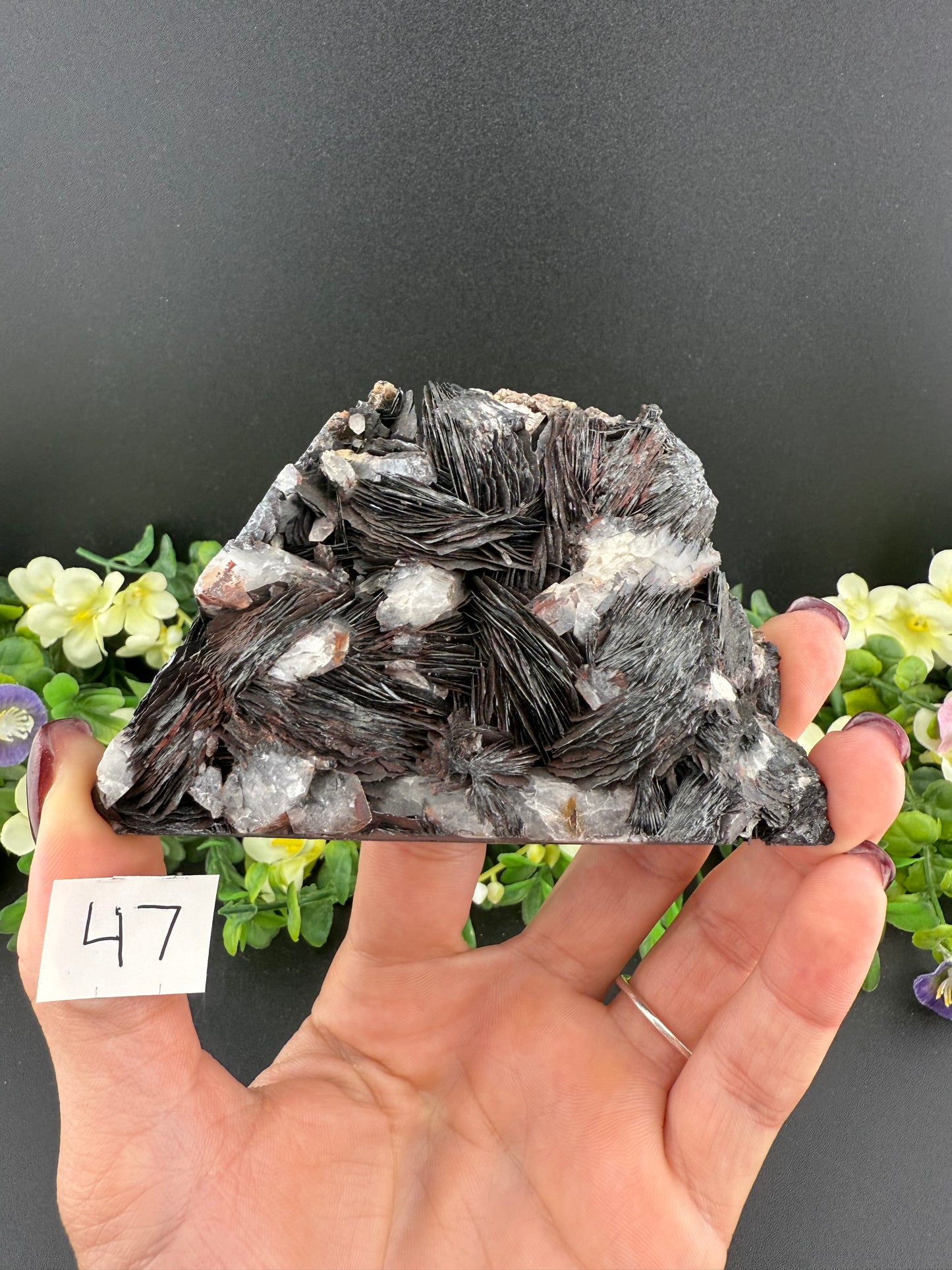 Specularite Rose Specimens