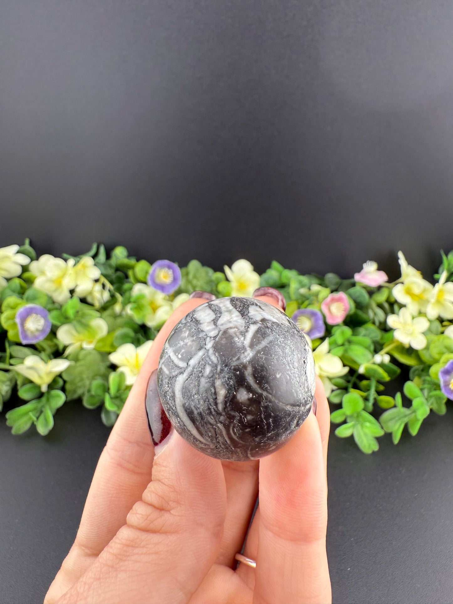 Zebra Jasper Mushroom