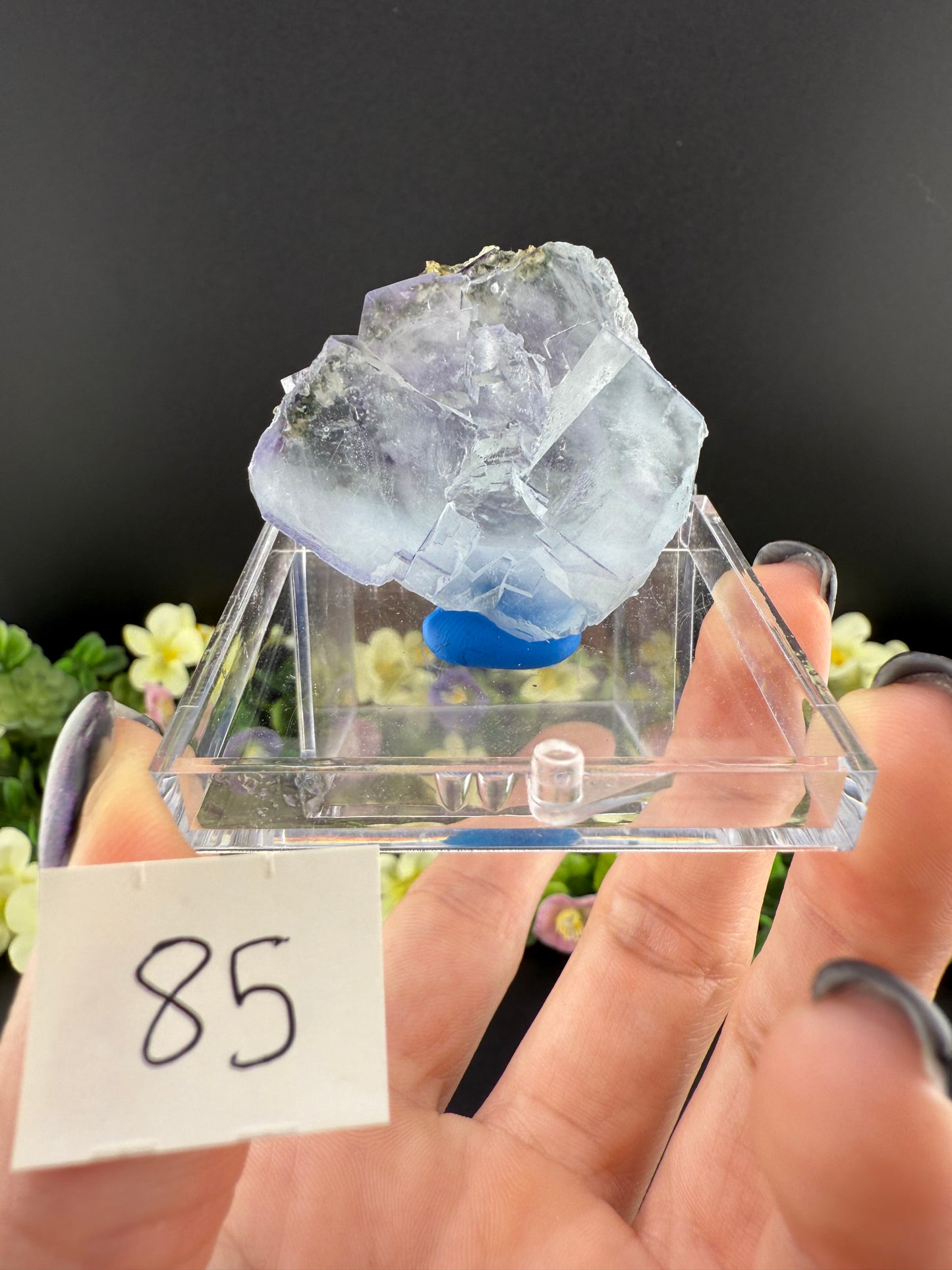 YGX Fluorites (Lot 2)