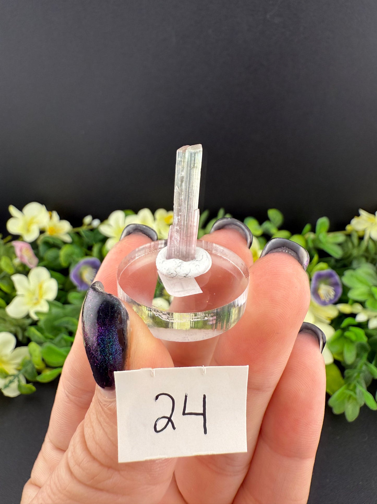 Tourmalines