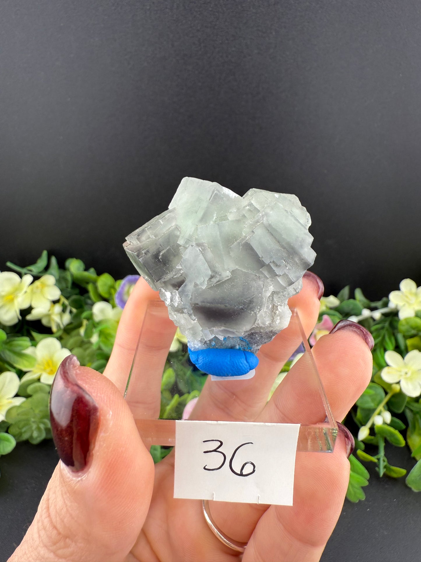 Fluorites on Candle Quartz