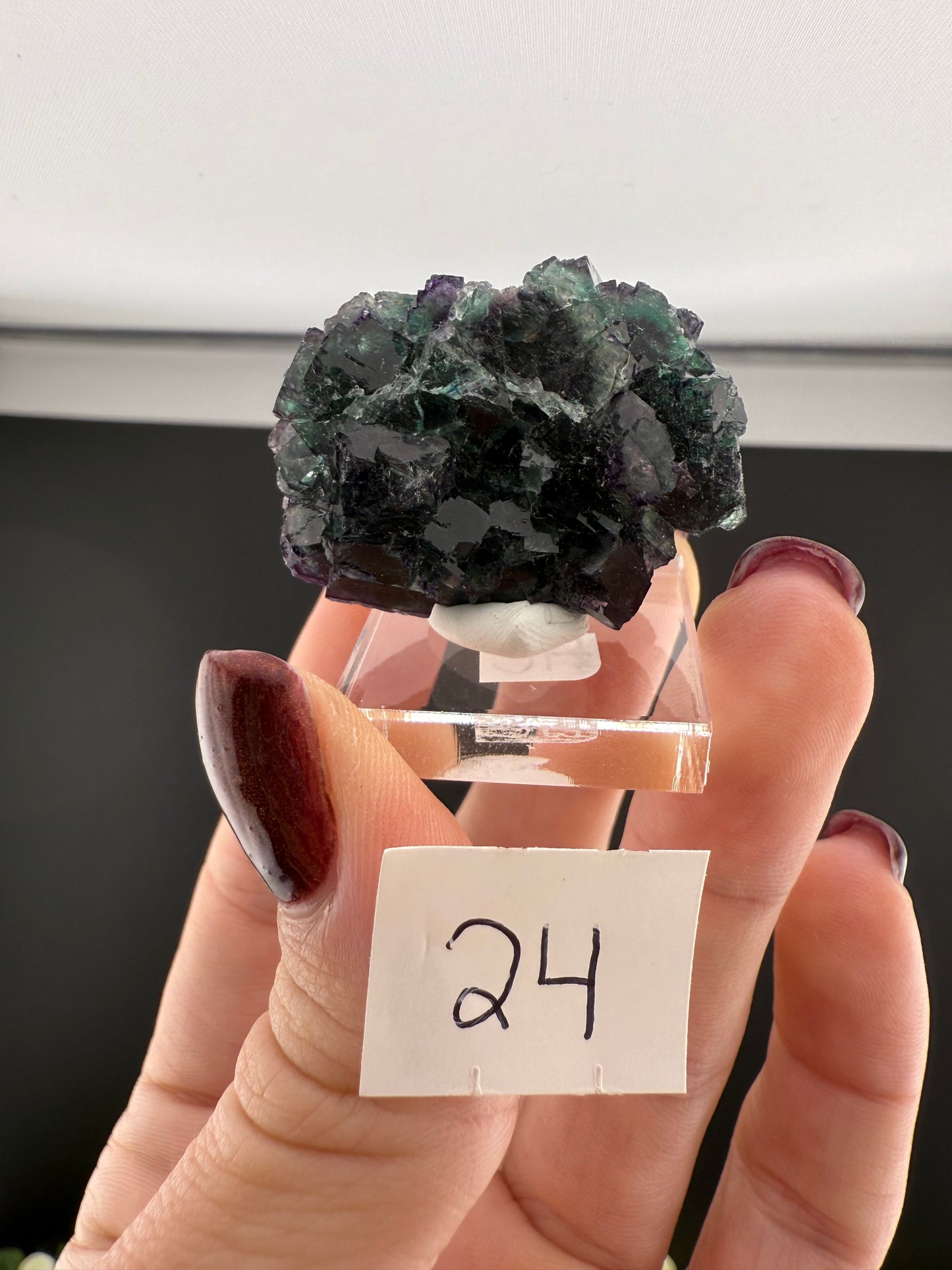 Small Okorusu Fluorite Clusters