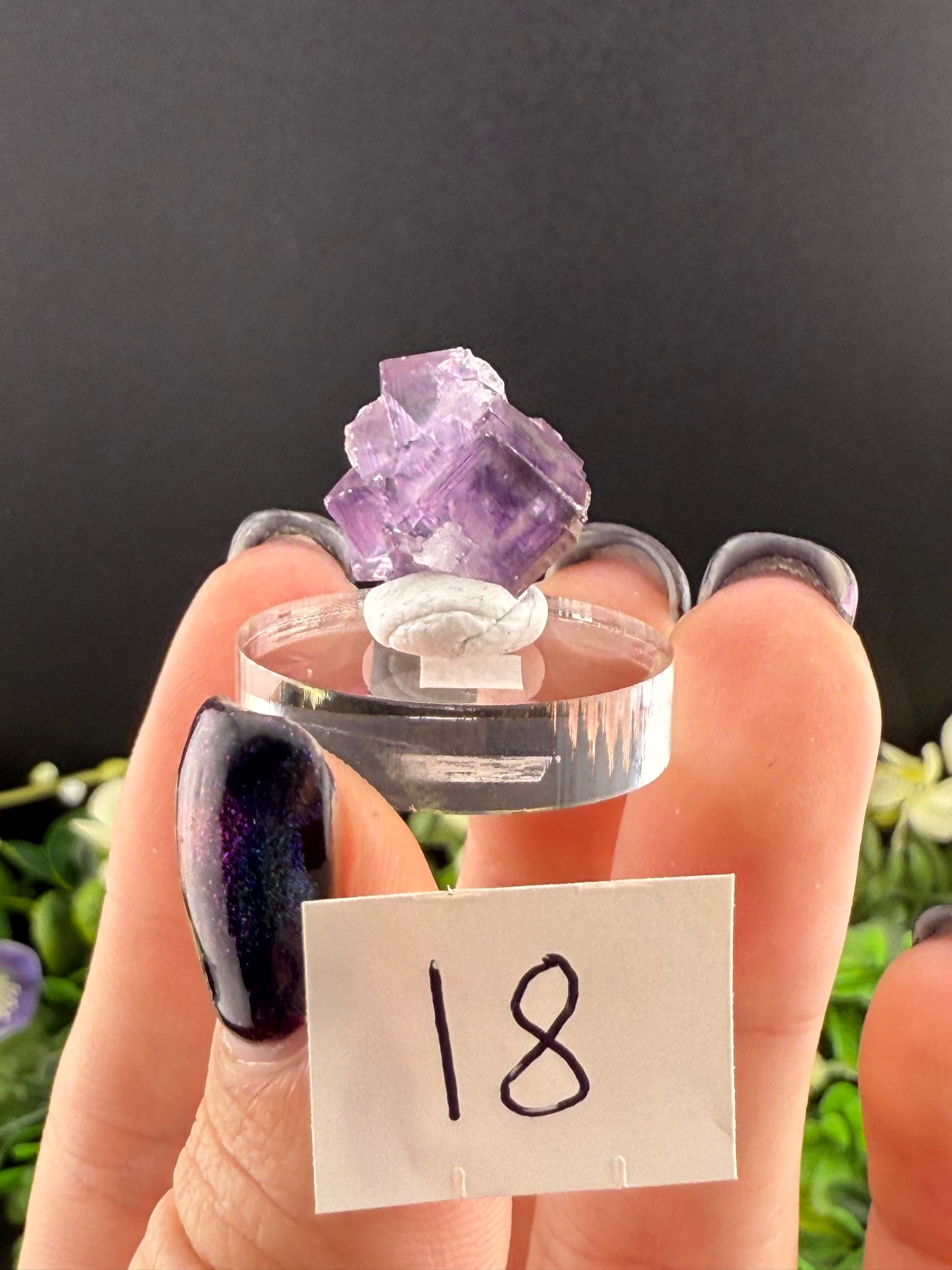 High Quality Purple “Window” Fluorites