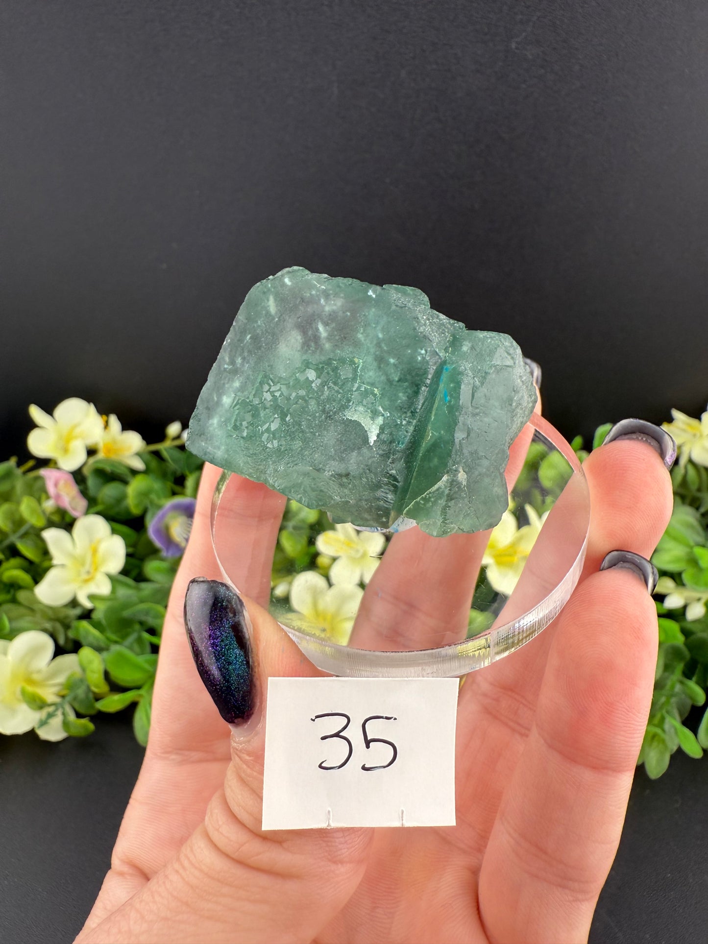 Daylight Fluorite Floaters on Stands