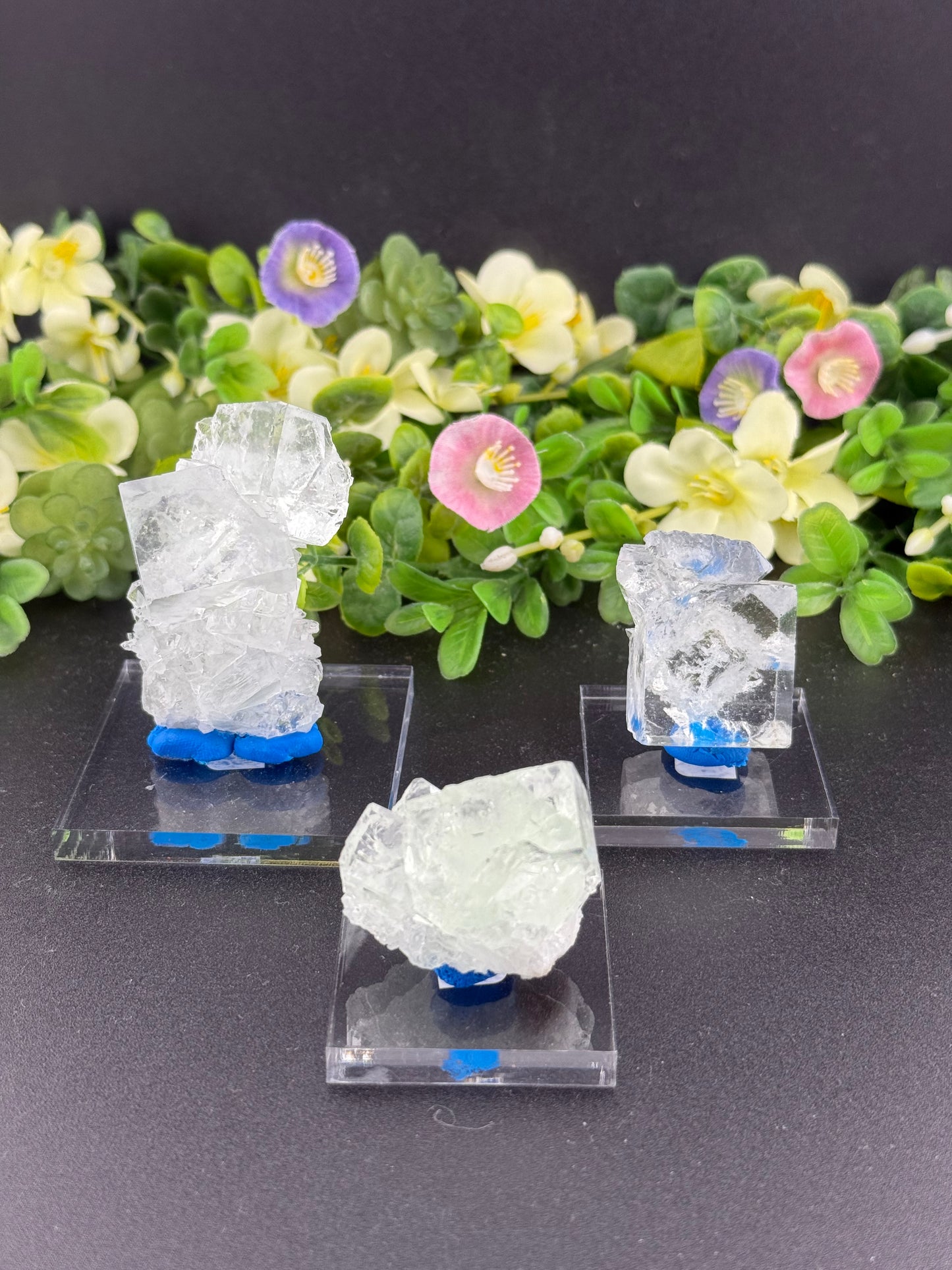 Clear Cubic Fluorite Specimens
