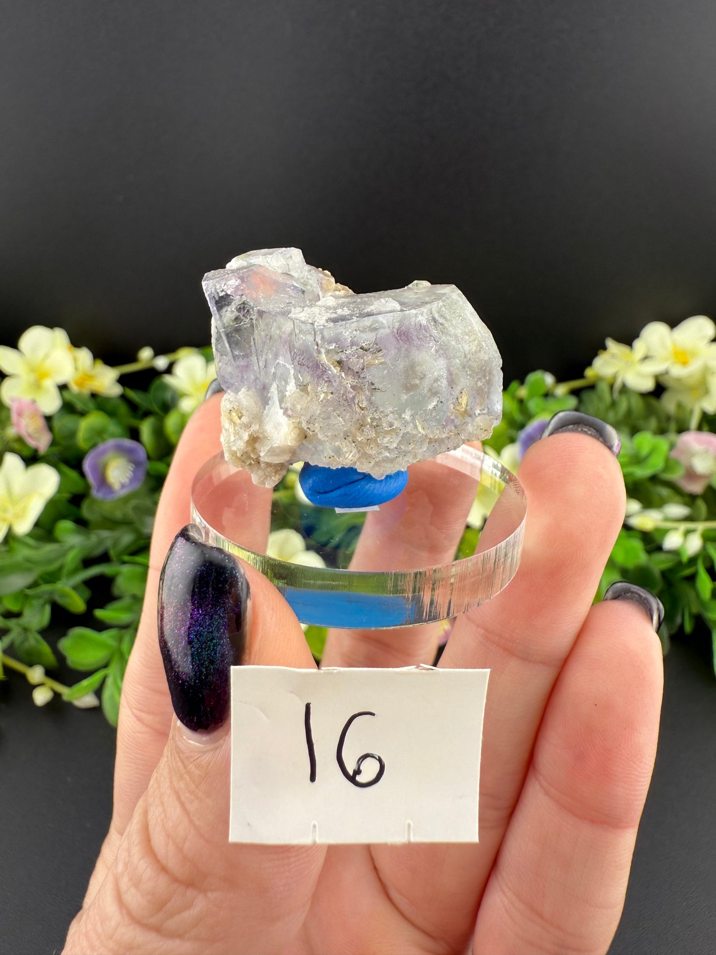 YGX Fluorites (Lot 2)