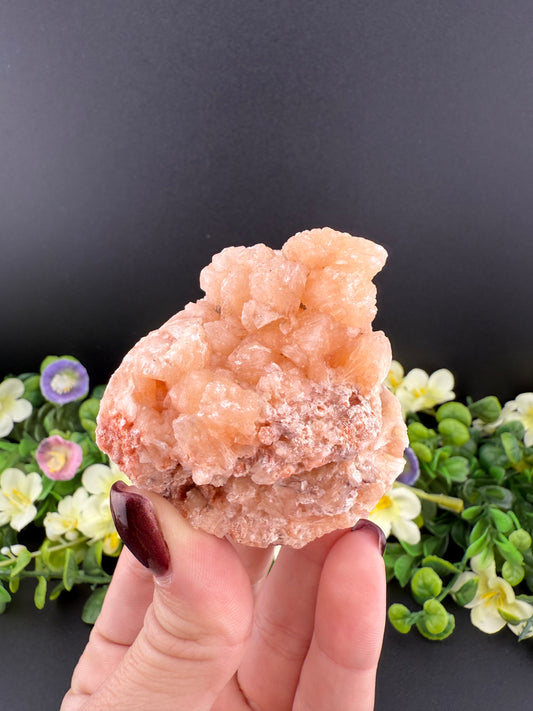 Peach Stillbite Cluster