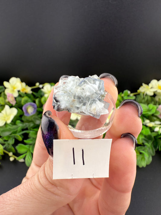 YGX Fluorites (Lot 2)