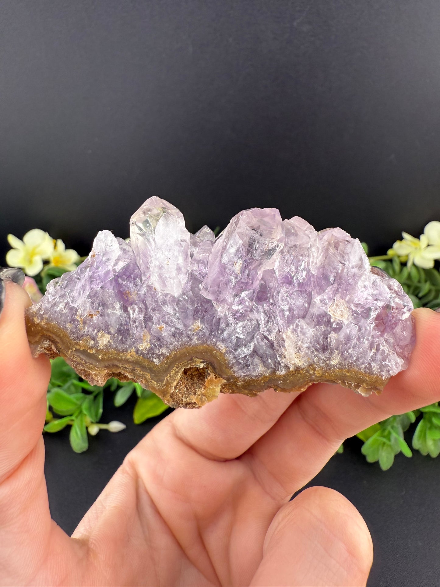 Amethyst Cluster Geode