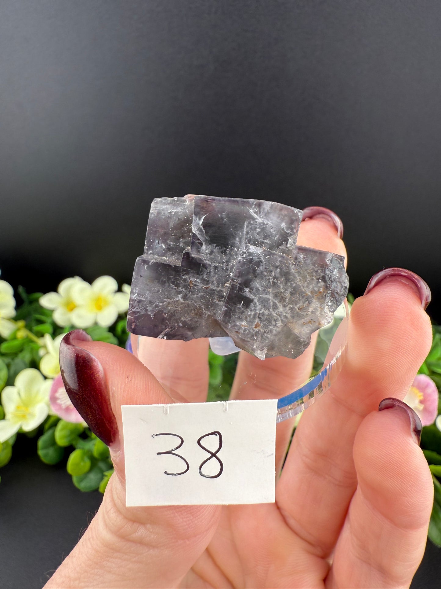 Milky Way Fluorites