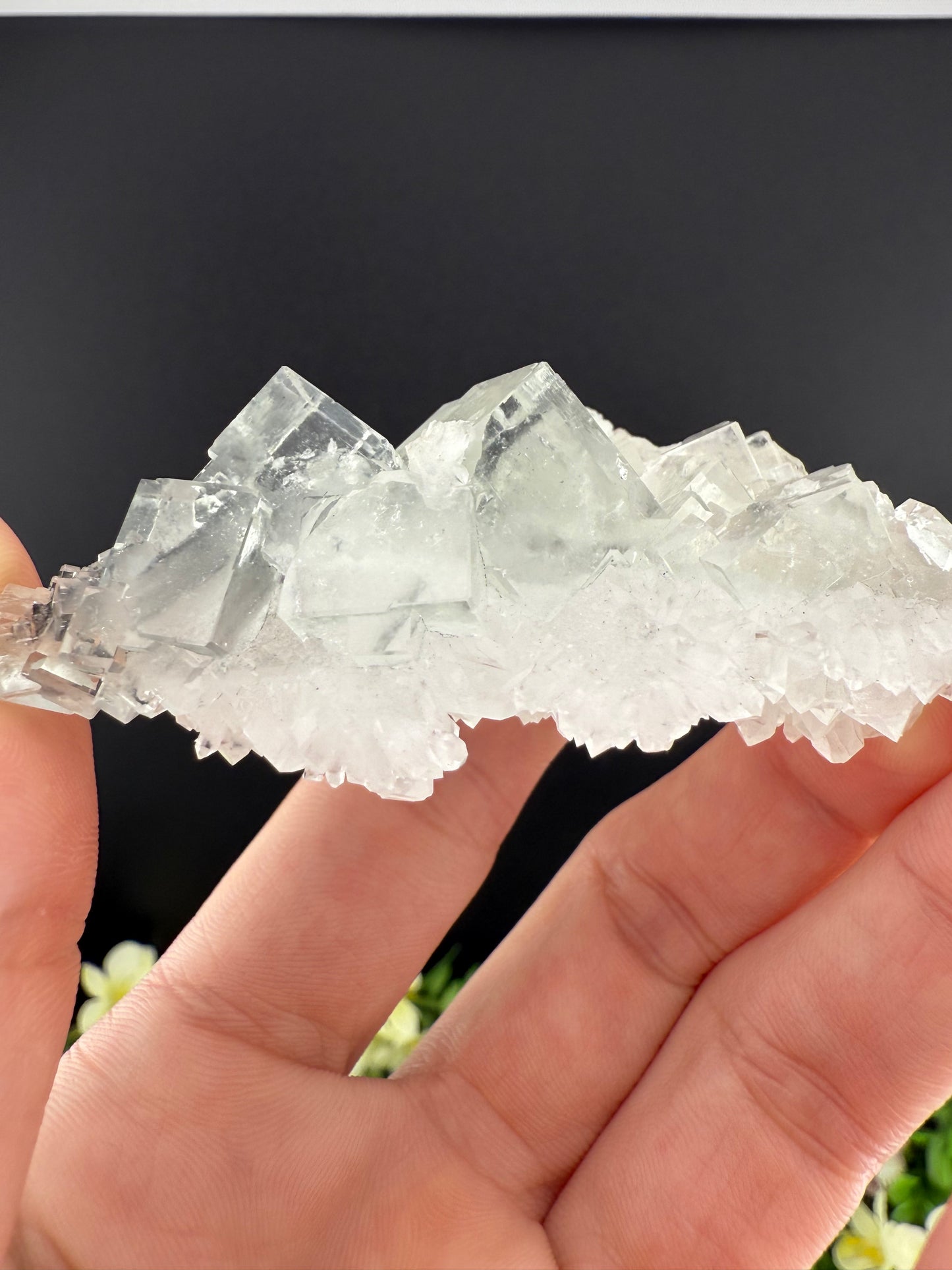 XHL Fluorite on Quartz