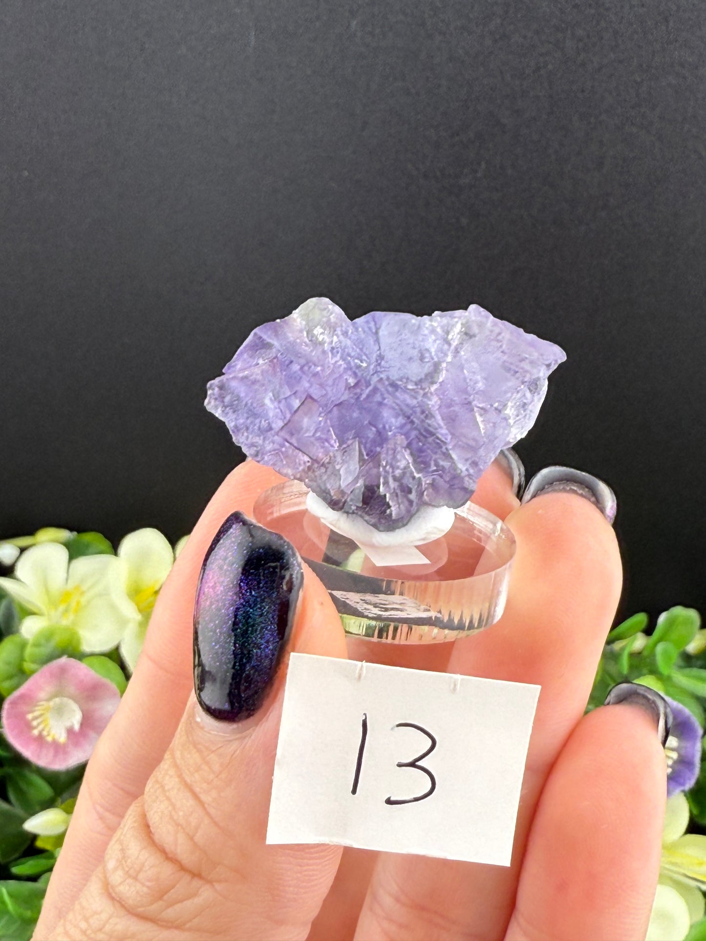 Blue Petroleum Fluorites