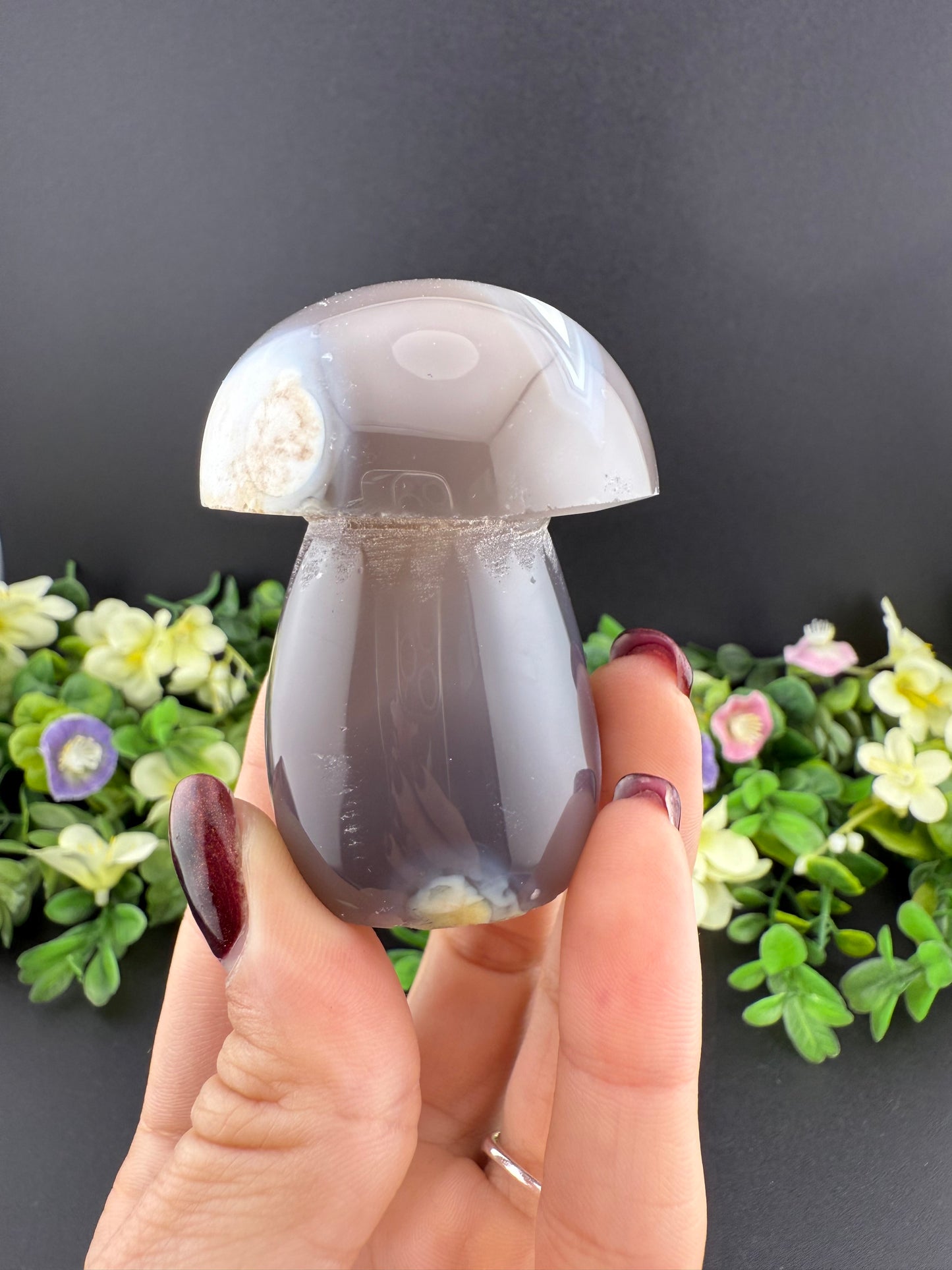 Druzy Orca Agate Mushroom