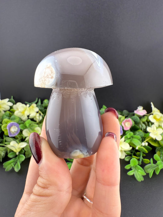Druzy Orca Agate Mushroom