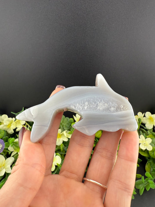 Agate Dolphin Slice