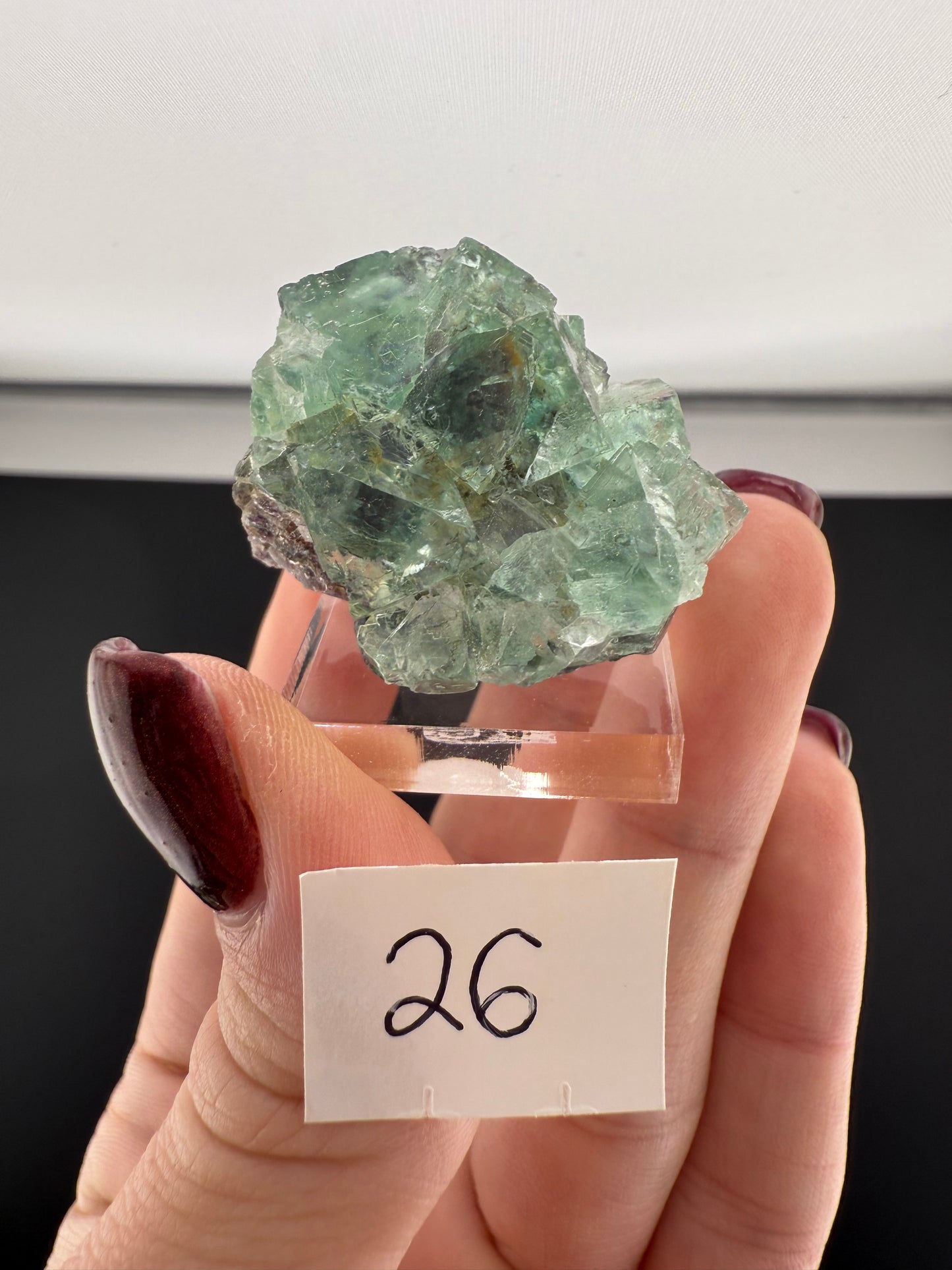 Small Okorusu Fluorite Clusters
