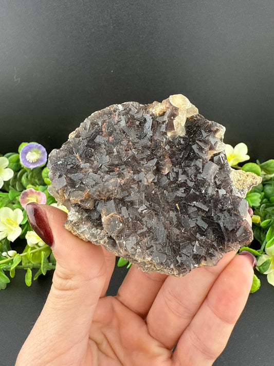 Black Rose Fluorite