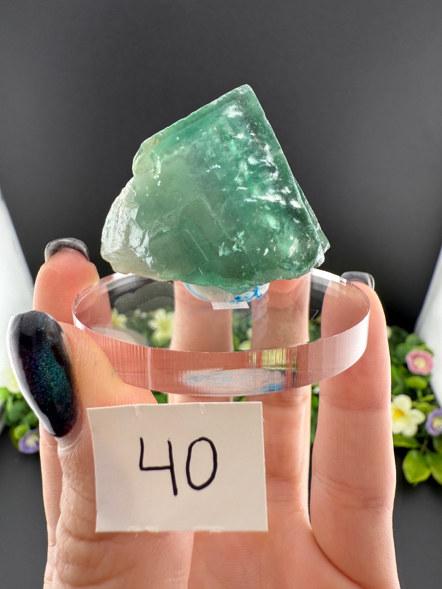 Daylight Fluorite Floaters on Stands