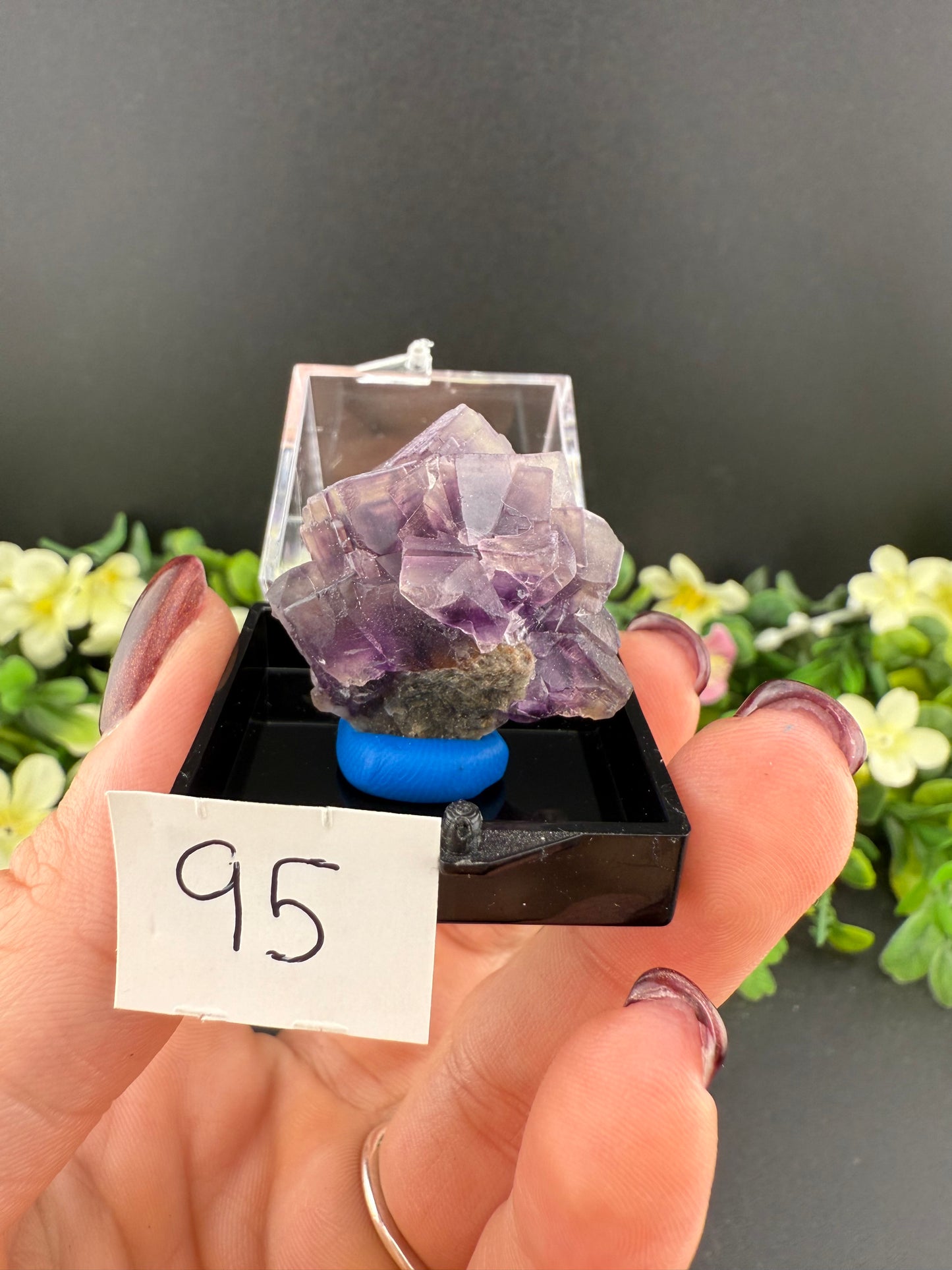 Purple “Window” Fluorites