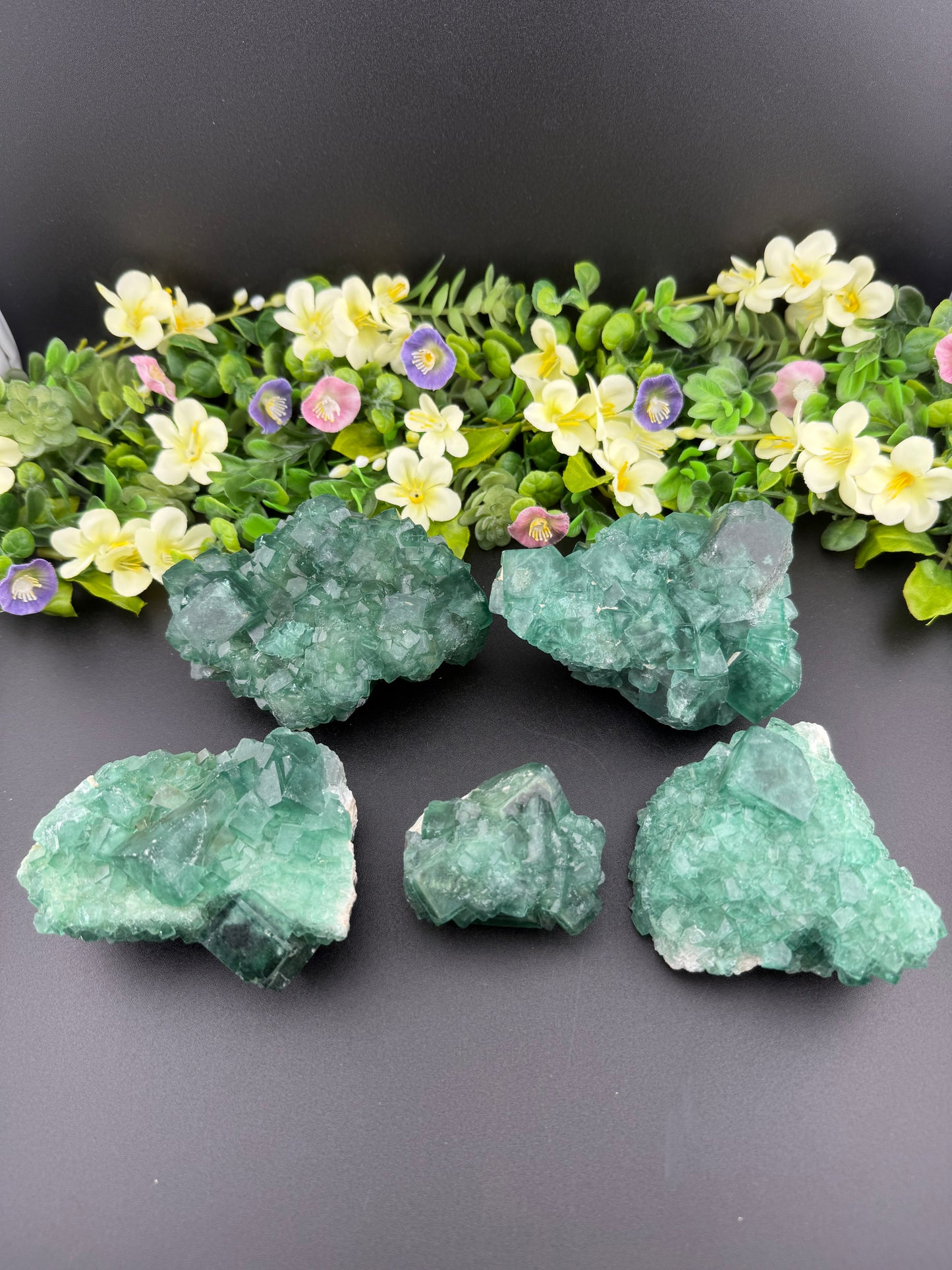 Daylight Fluorite Clusters